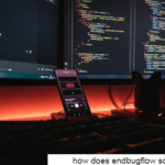 how does endbugflow software work