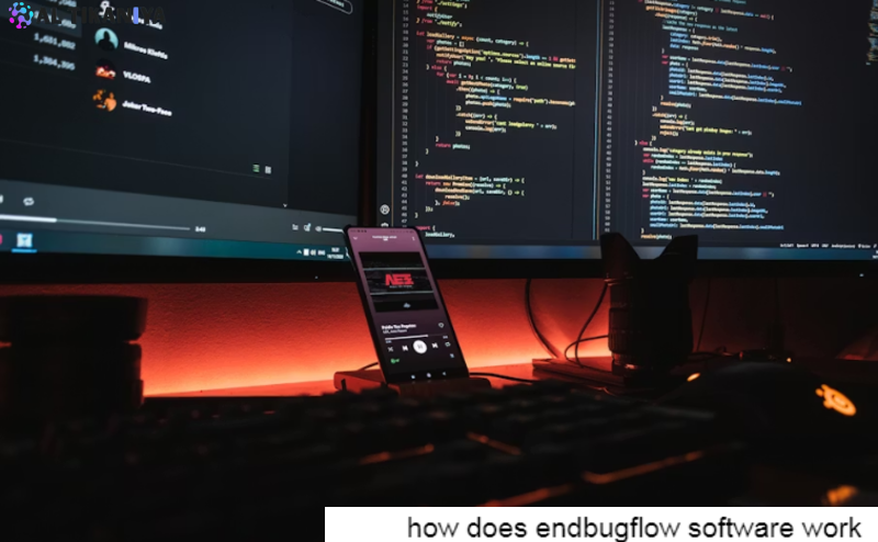 How Does EndBugFlow Software Work? Full Guide