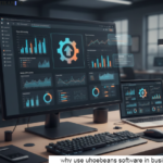 why use uhoebeans software in business
