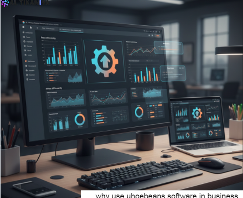 Why Use Uhoebeans Software in Business Today